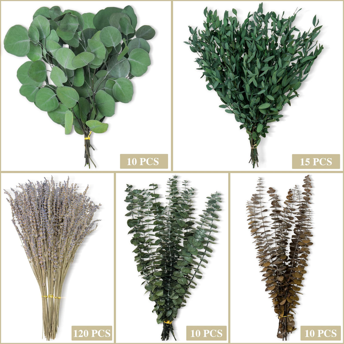 160 piezas de tallos de eucalipto seco y flores de lavanda mixtos, 5 variedades de hojas de eucalipto preservadas para colgar en la ducha, decoración de pared, relleno de floreros, bodas y baños verdes