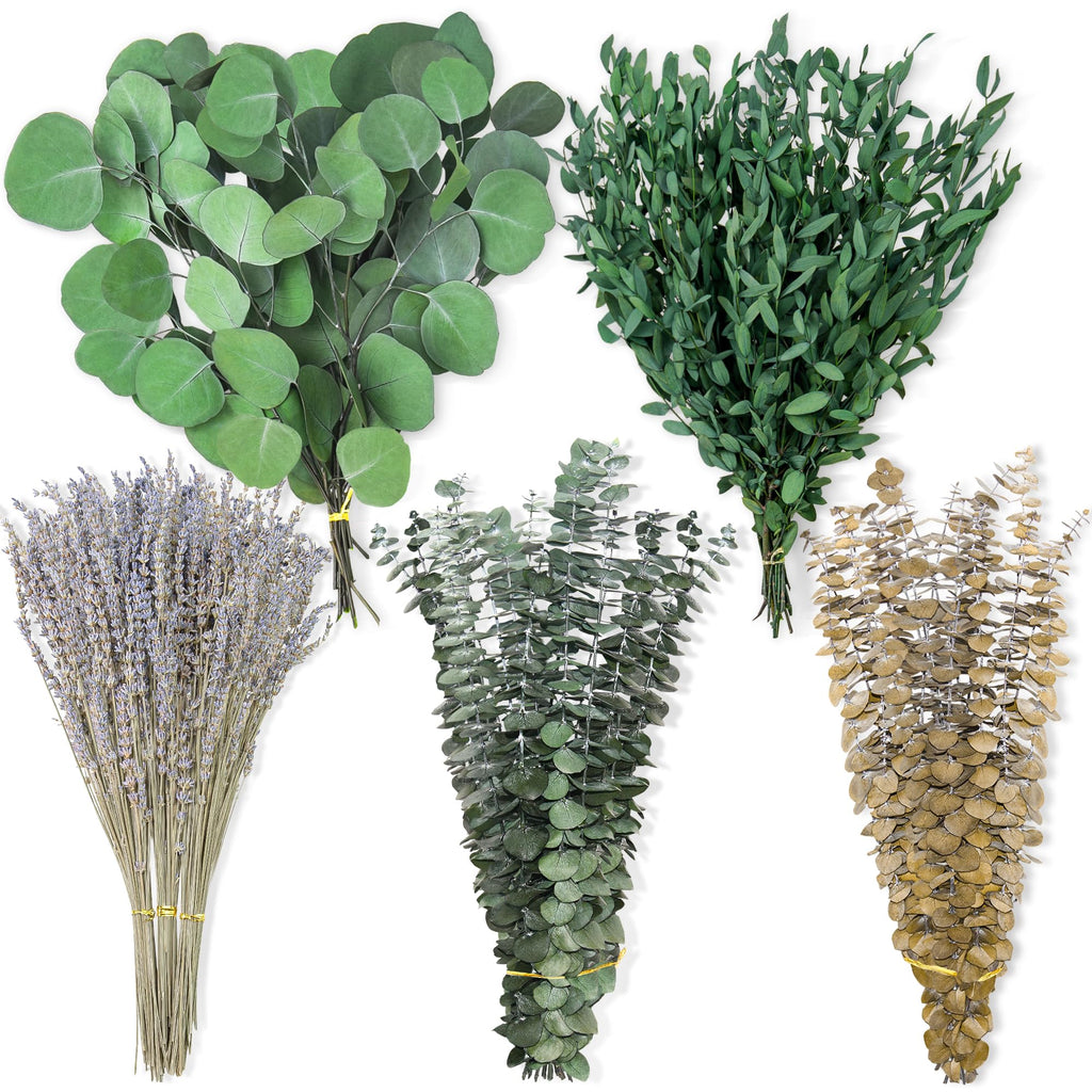 160 piezas de tallos de eucalipto seco y flores de lavanda mixtos, 5 variedades de hojas de eucalipto preservadas para colgar en la ducha, decoración de pared, relleno de floreros, bodas y baños verdes