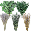 160 piezas de tallos de eucalipto seco y flores de lavanda mixtos, 5 variedades de hojas de eucalipto preservadas para colgar en la ducha, decoración de pared, relleno de floreros, bodas y baños verdes
